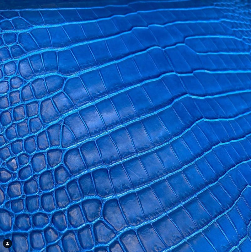 皮革 美洲鱷魚皮 湖水藍色 - FOBO CROCODILE