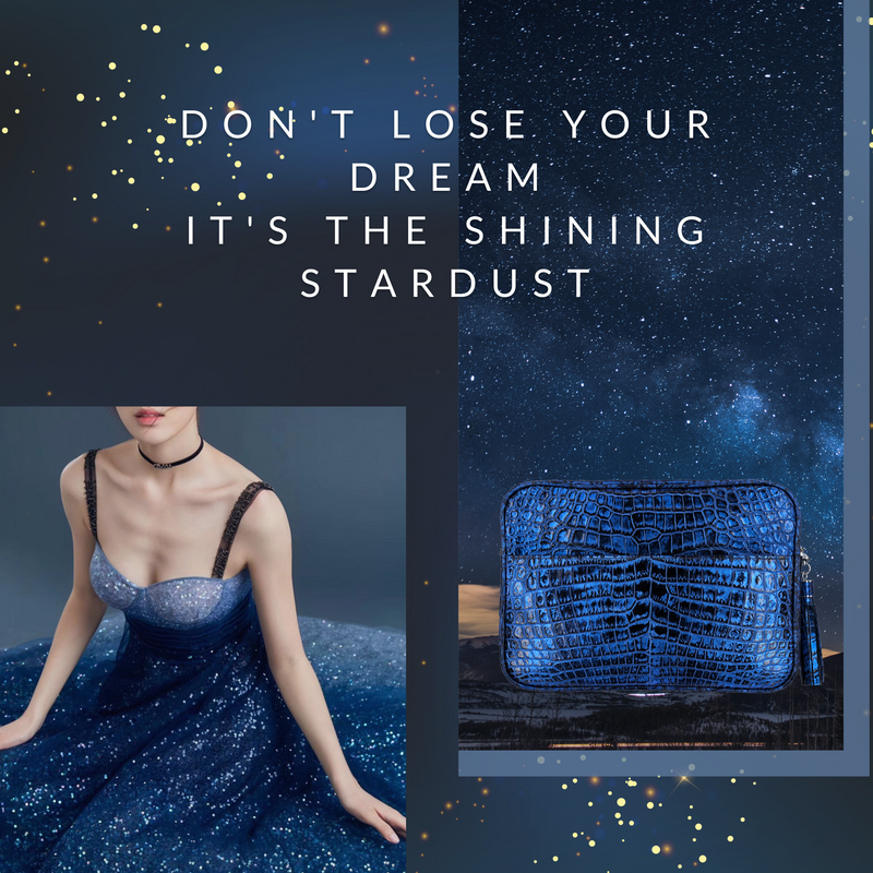 Don't lose your dream It's the shining stardust