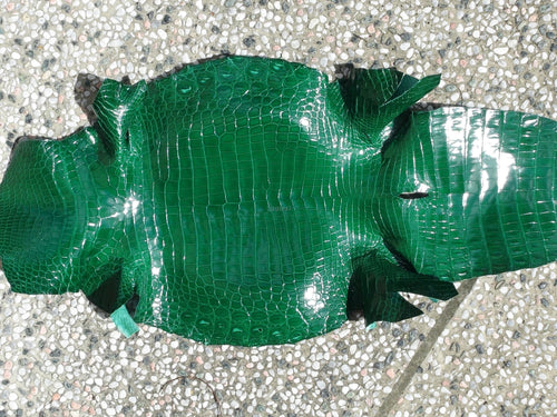皮革 尼羅鱷魚皮 瑪瑙石拋光 蕨綠色 - FOBO CROCODILE