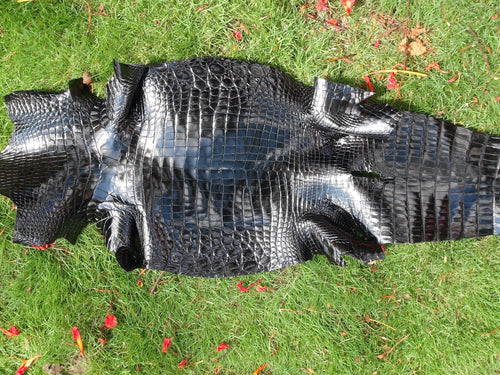 皮革 尼羅鱷魚皮 瑪瑙石拋光 黑色 - FOBO CROCODILE